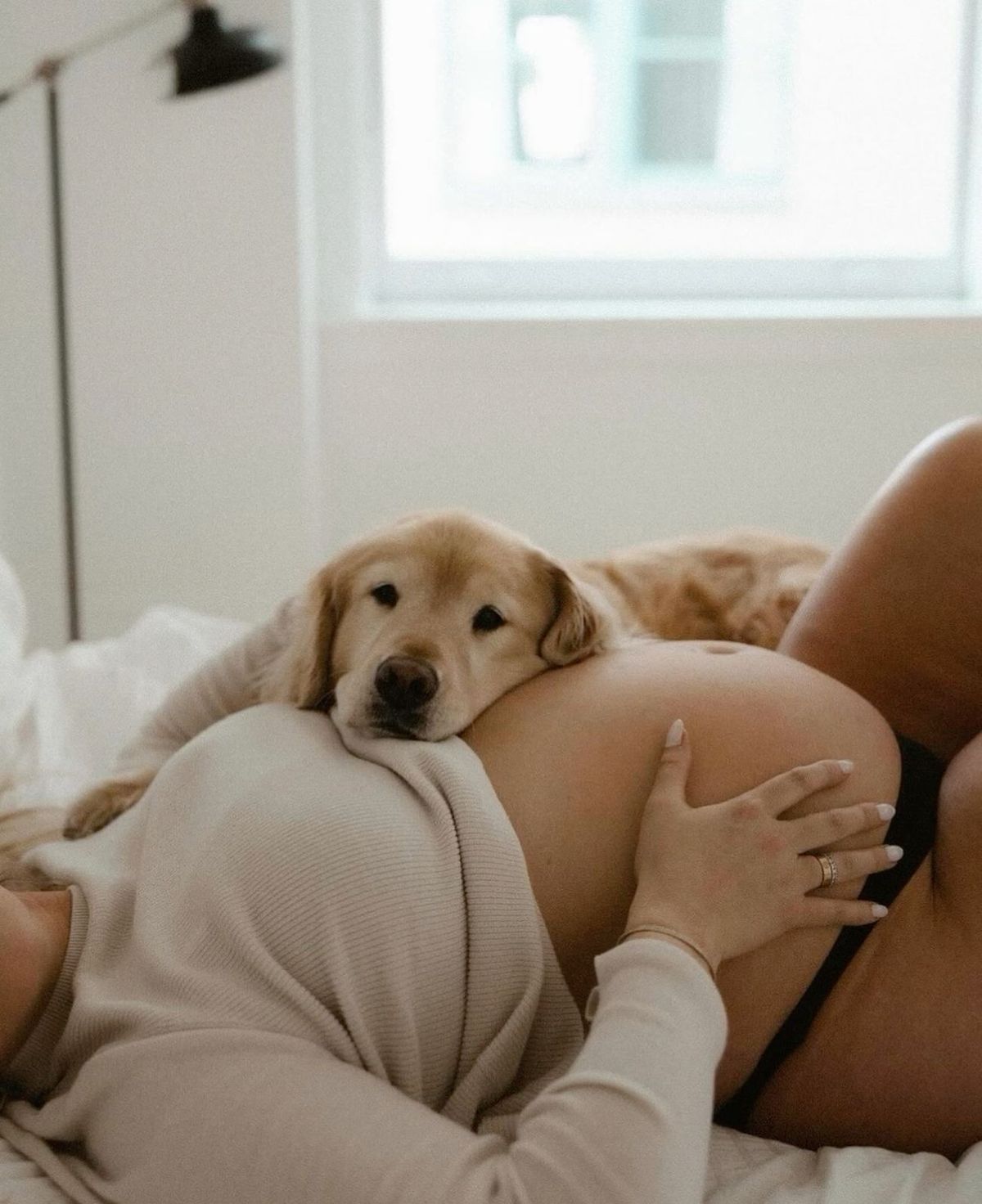 Mulher grávida em momento acolhedor com seu cachorro
